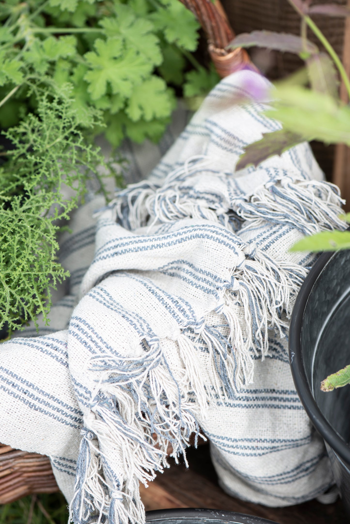 Cream Throw with Light Blue Stripes