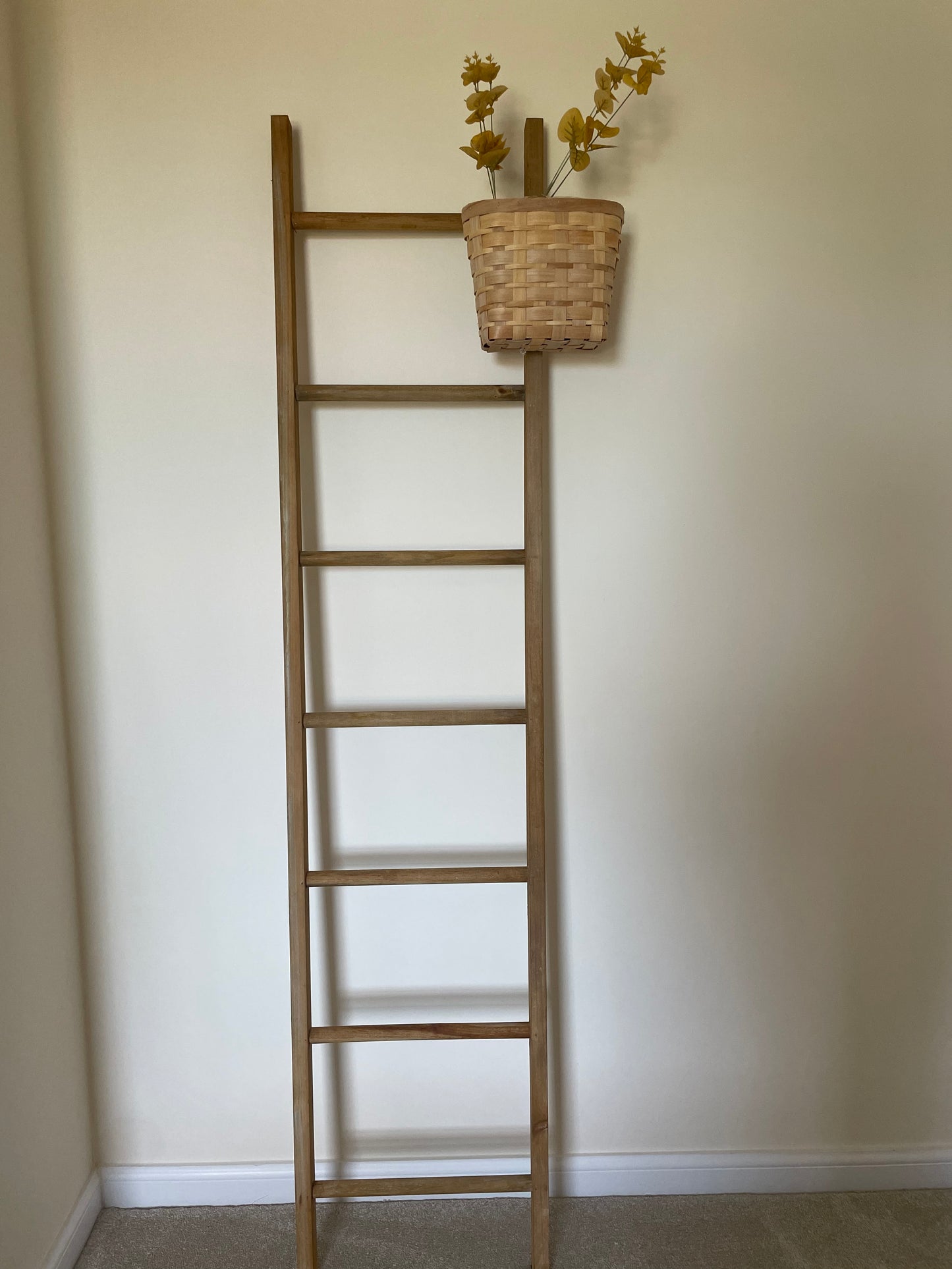 Rustic Display Ladder