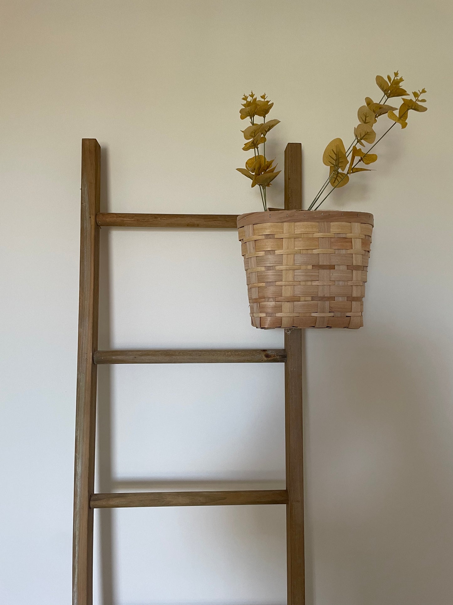 Rustic Display Ladder