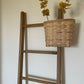 Rustic Display Ladder