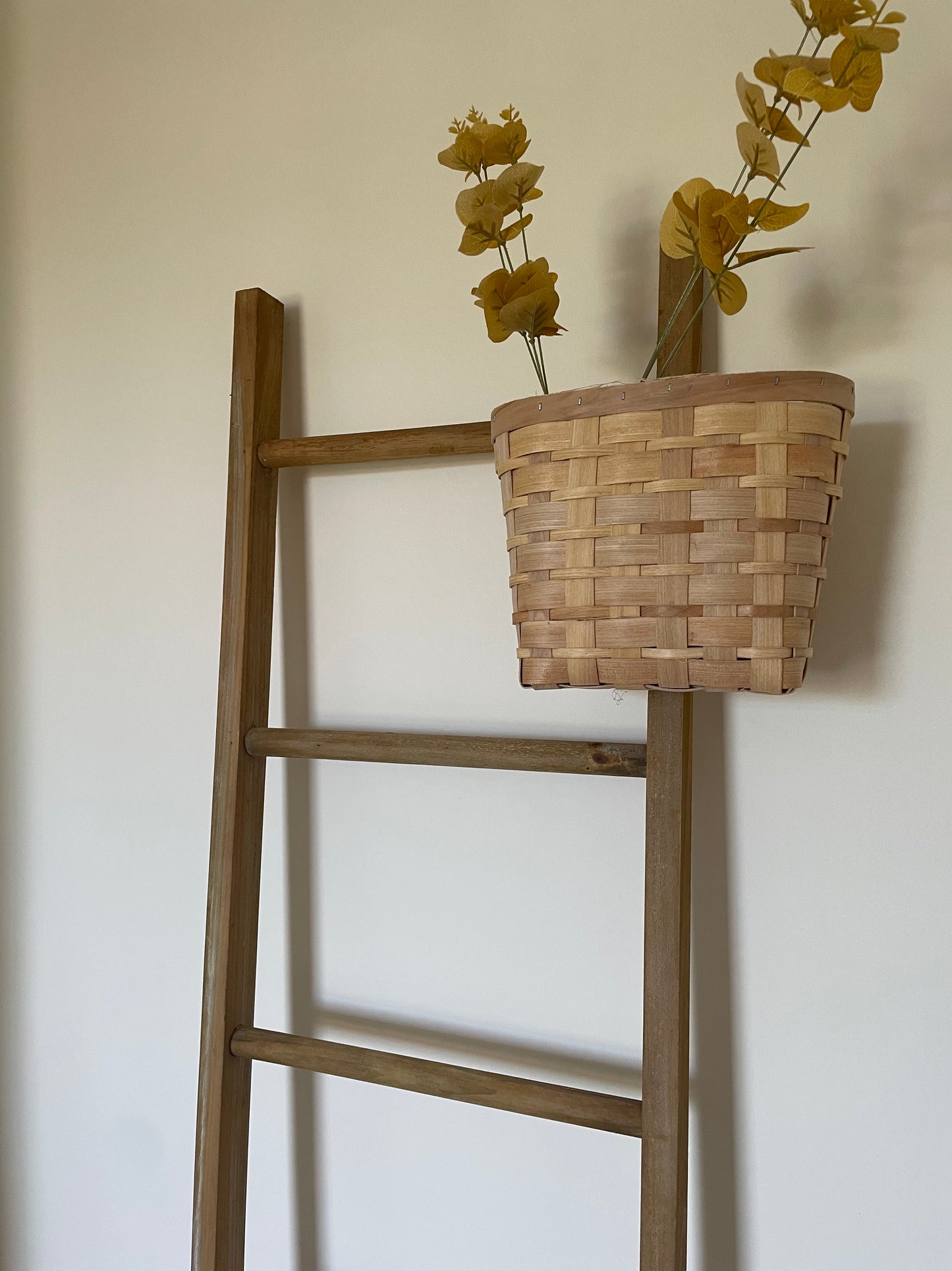 Rustic Display Ladder